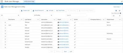 Bulk User Management Utility for Salesforce — screenshot