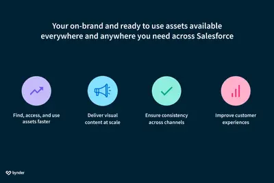 Bynder Digital Asset Management (DAM) for Salesforce - Lightning Web Component for Salesforce — screenshot