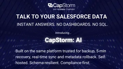 CapStorm: Backup, Data Recovery & Metadata Control + Snowflake Sync +AI Insights for Salesforce — screenshot