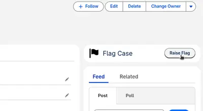 Case Flagger (free) for Salesforce — screenshot