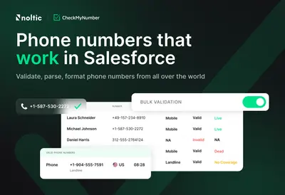 CheckMyNumber | Phone validation and formatting for Salesforce by Noltic for Salesforce — screenshot