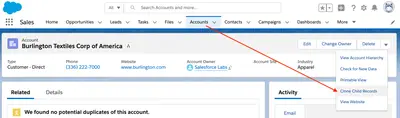Clone Related Lists for Salesforce — screenshot