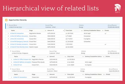 Combined Hierarchy for Salesforce — screenshot