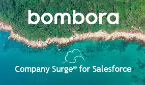 Company Surge® for Salesforce for Salesforce — screenshot
