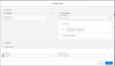Convert Leads with Record Type mapping for Salesforce — screenshot