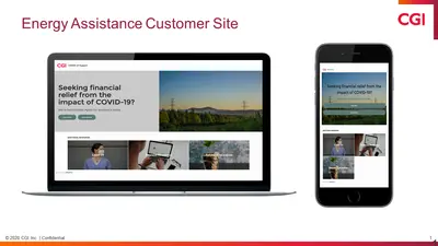 COVID-19 Energy Assistance Case Management for Salesforce — screenshot