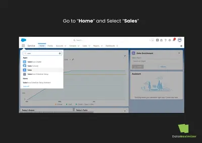 CRM DataMaximizer: Elevate Your CRM Database with Manual Data Enrichment for Salesforce — screenshot