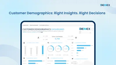 Customer Demographics for Salesforce — screenshot