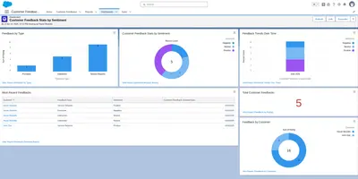 Customer Feedback Manager for Salesforce — screenshot