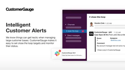 CustomerGauge - Voice of Customer Survey Tool for B2B (NPS Software) for Salesforce — screenshot