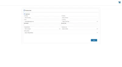 Cybersource Payments for Commerce on Core (B2B/D2C) for Salesforce — screenshot