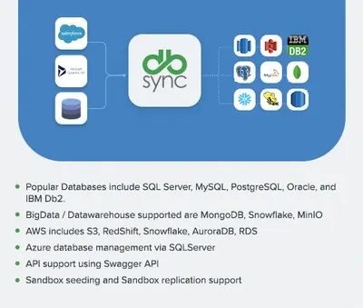 Data Replication and Warehousing For Salesforce for Salesforce — screenshot
