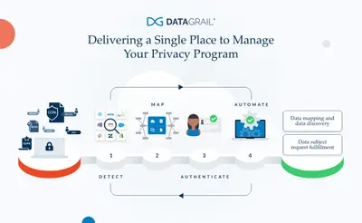 DataGrail for Salesforce — screenshot