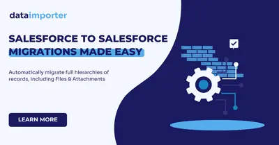 Dataimporter for Salesforce — screenshot