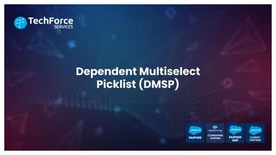 Dependent Multi Select Picklist (DMSP) – Premium for Salesforce — screenshot