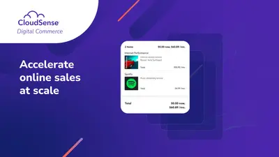 Digital Commerce for Salesforce: Subscriber Management, B2B & B2C Commerce for Salesforce — screenshot