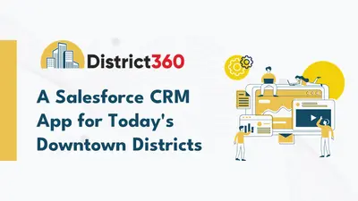 District360 for Salesforce — screenshot