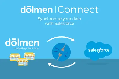 Dolmen Connect for Salesforce — screenshot