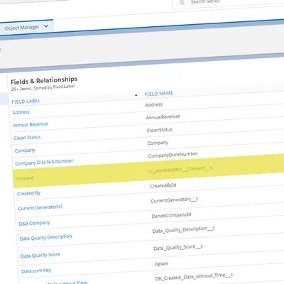 Double Opt-In Solutions for Salesforce Professional for Salesforce — screenshot