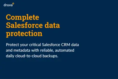 Druva - Salesforce data backup, recovery & sandbox seeding for Salesforce — screenshot