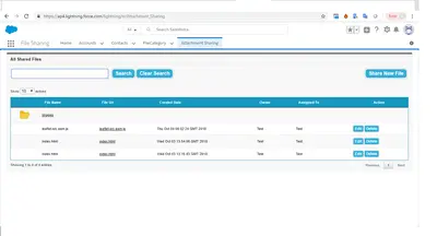 DS FileShare Tool for Salesforce — screenshot