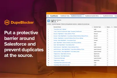 DupeBlocker: enterprise duplicate prevention for Salesforce — screenshot