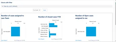 Dynamic Dashboard & Filters for Salesforce — screenshot