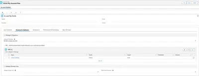 e-PIRAT Key Account Plan for Salesforce — screenshot