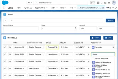 Editable List (Record Hunter's Add-on) for Salesforce — screenshot