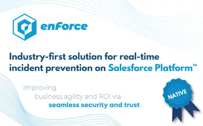 enForce Salesforce Security for Salesforce — screenshot