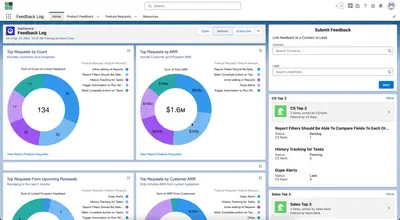 Feedback Log for Salesforce — screenshot