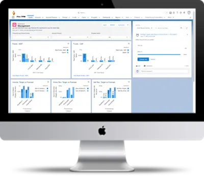 FireTPM for Salesforce — screenshot