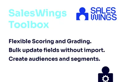 Fit Scoring and Grading | SalesWings for Salesforce — screenshot