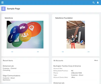 Flickr Feeds for Salesforce — screenshot