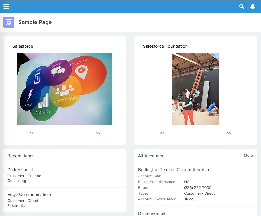 Flickr Feeds — screenshot from the Salesforce AppExchange listing
