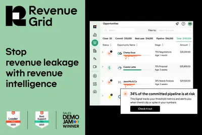 Forecasting and Pipeline Management - Revenue Intelligence platform Revenue Grid for Salesforce — screenshot
