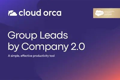 Group Leads By Company 2.0 by Cloud Orca for Salesforce — screenshot