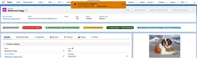 Highlight Badges for Salesforce — screenshot