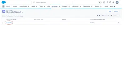 Hydra for Salesforce — screenshot