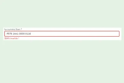 IBAN Checker for Salesforce — screenshot