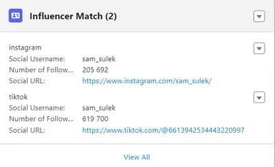 Influencer Insight: Salesforce App for Uncovering Influencer Potential for Salesforce — screenshot