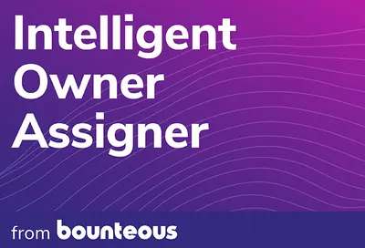 Intelligent Owner Assigner From Bounteous for Salesforce — screenshot