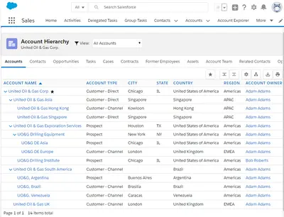 iTools Customizable Account Hierarchy for Salesforce — screenshot