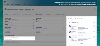 LeadMatch for Salesforce — screenshot