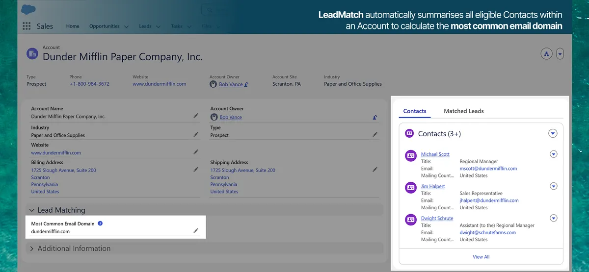 LeadMatch — screenshot from the Salesforce AppExchange listing