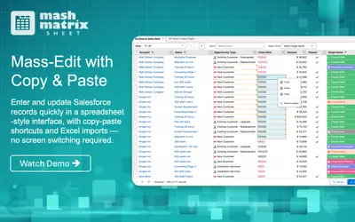 Mashmatrix Sheet for Salesforce — screenshot