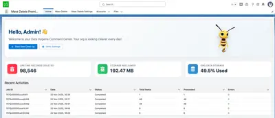 Mass Delete Premium for Salesforce — screenshot