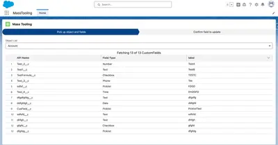 Mass update field metadata for Salesforce — screenshot