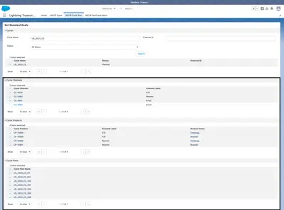 MCCP FastTrack for Salesforce — screenshot