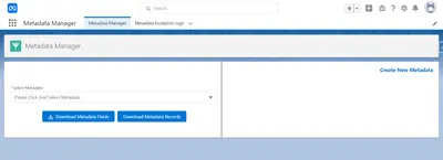 Metadata Import & Export Manager for Salesforce — screenshot